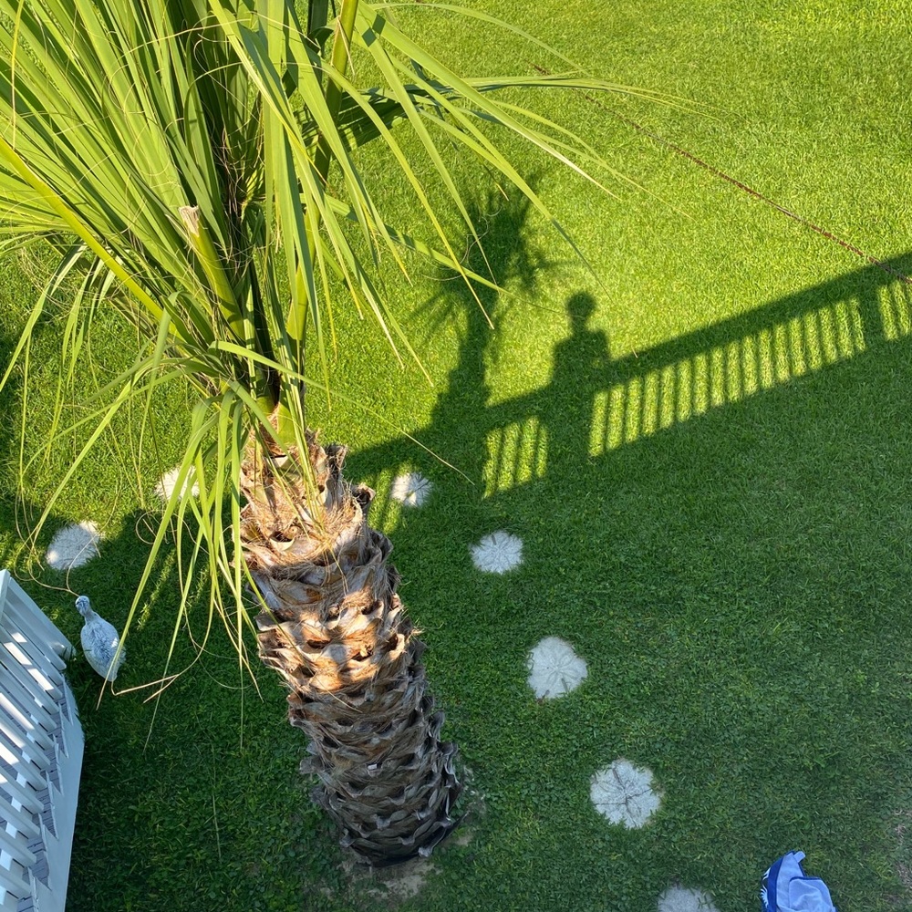 Meet your Posher, Alec